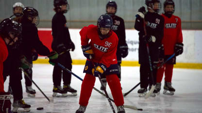 Senators Elite Hockey Development