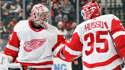 3 questions facing Detroit Red Wings