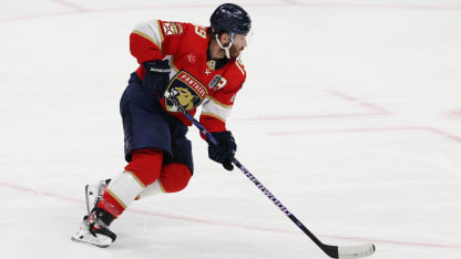 Florida Panthers fantasy projections for 2024-25